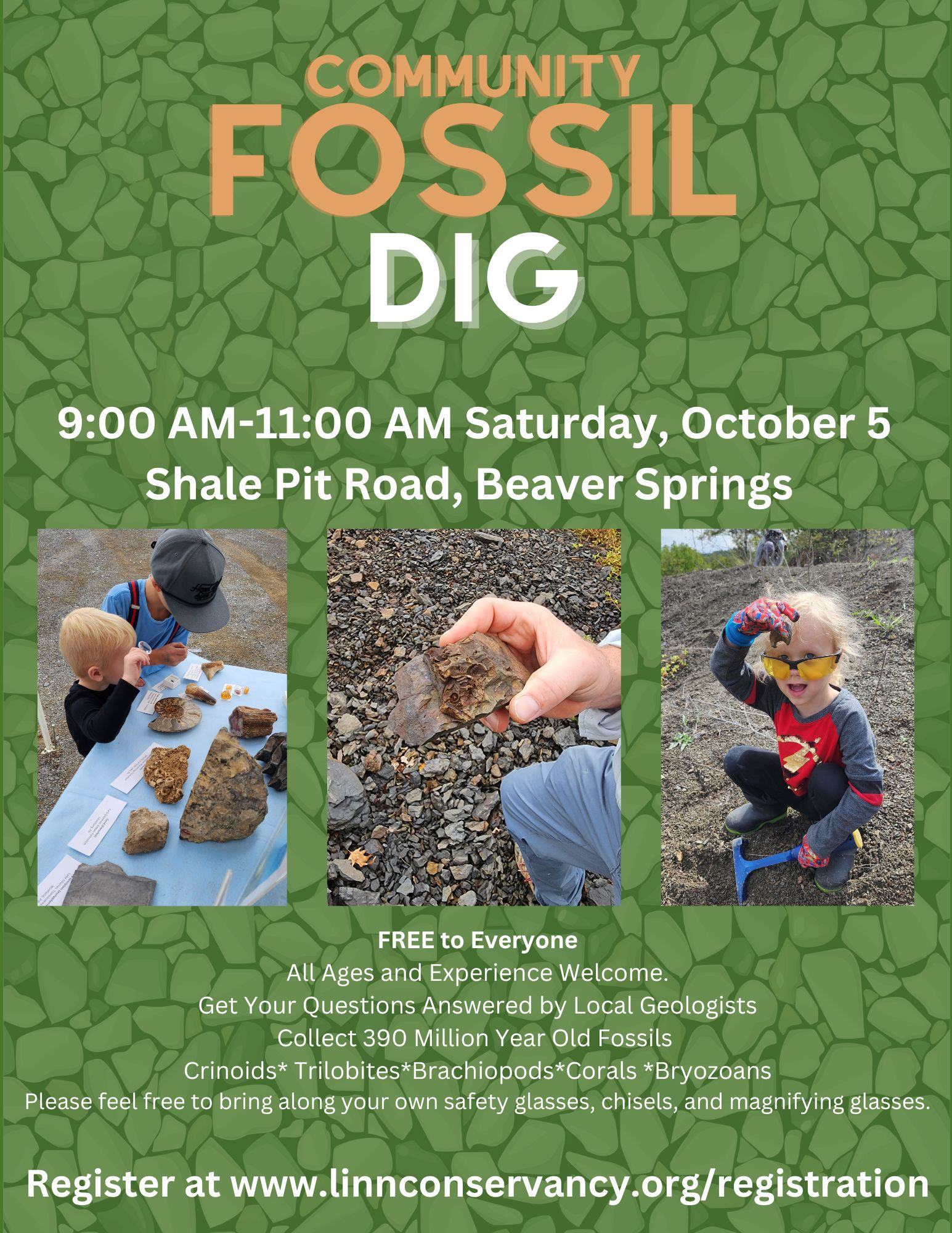 Community Fossil Dig