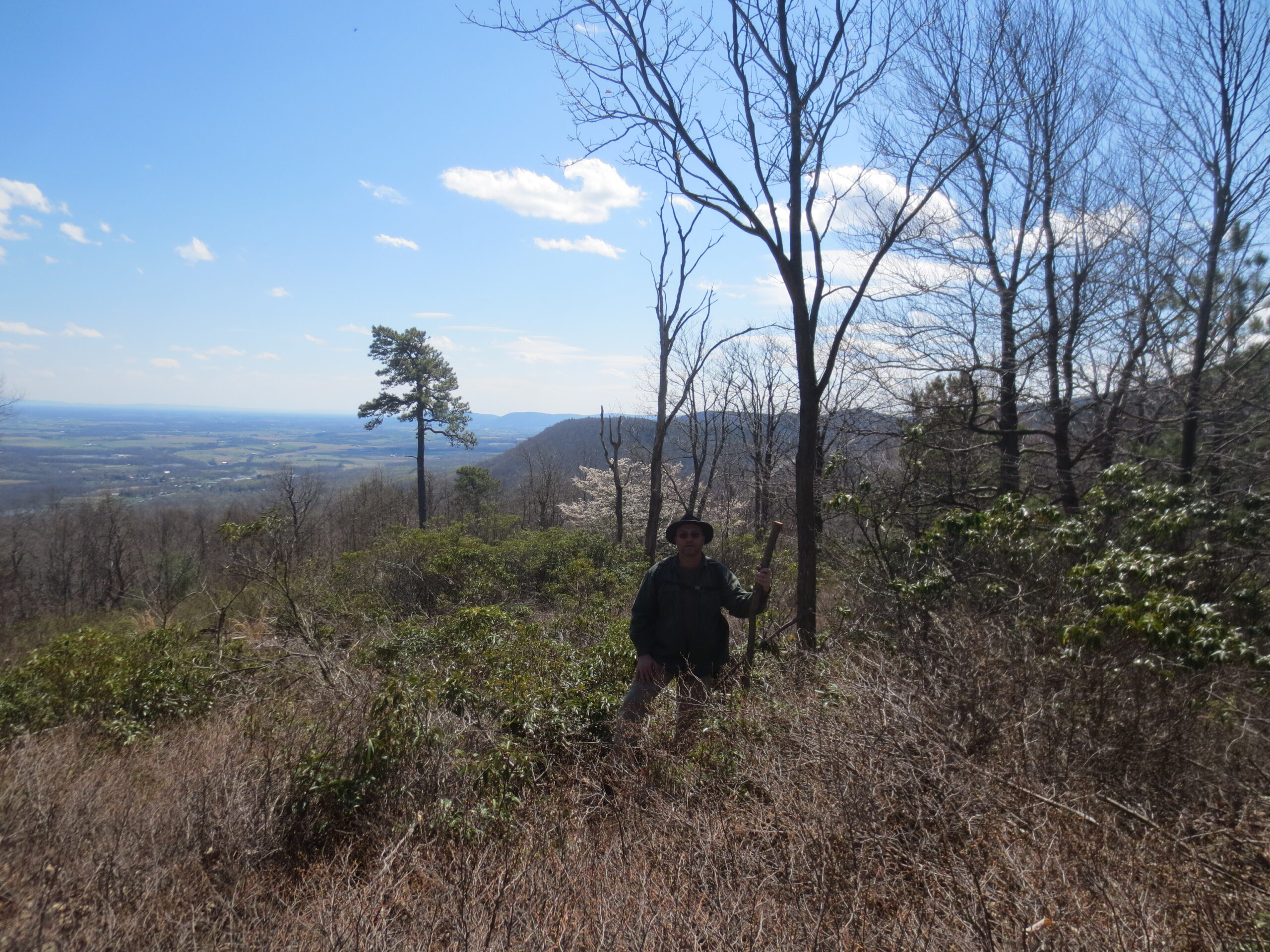 Hogback Mountain Hike