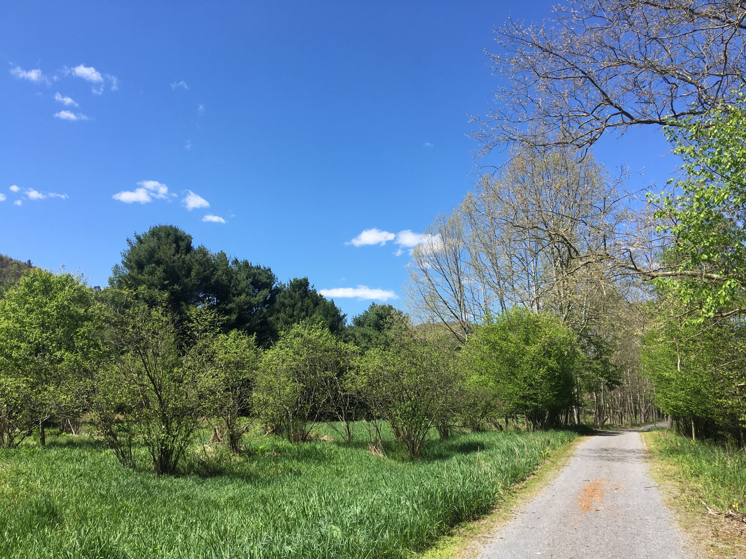Ride the Rail Trail