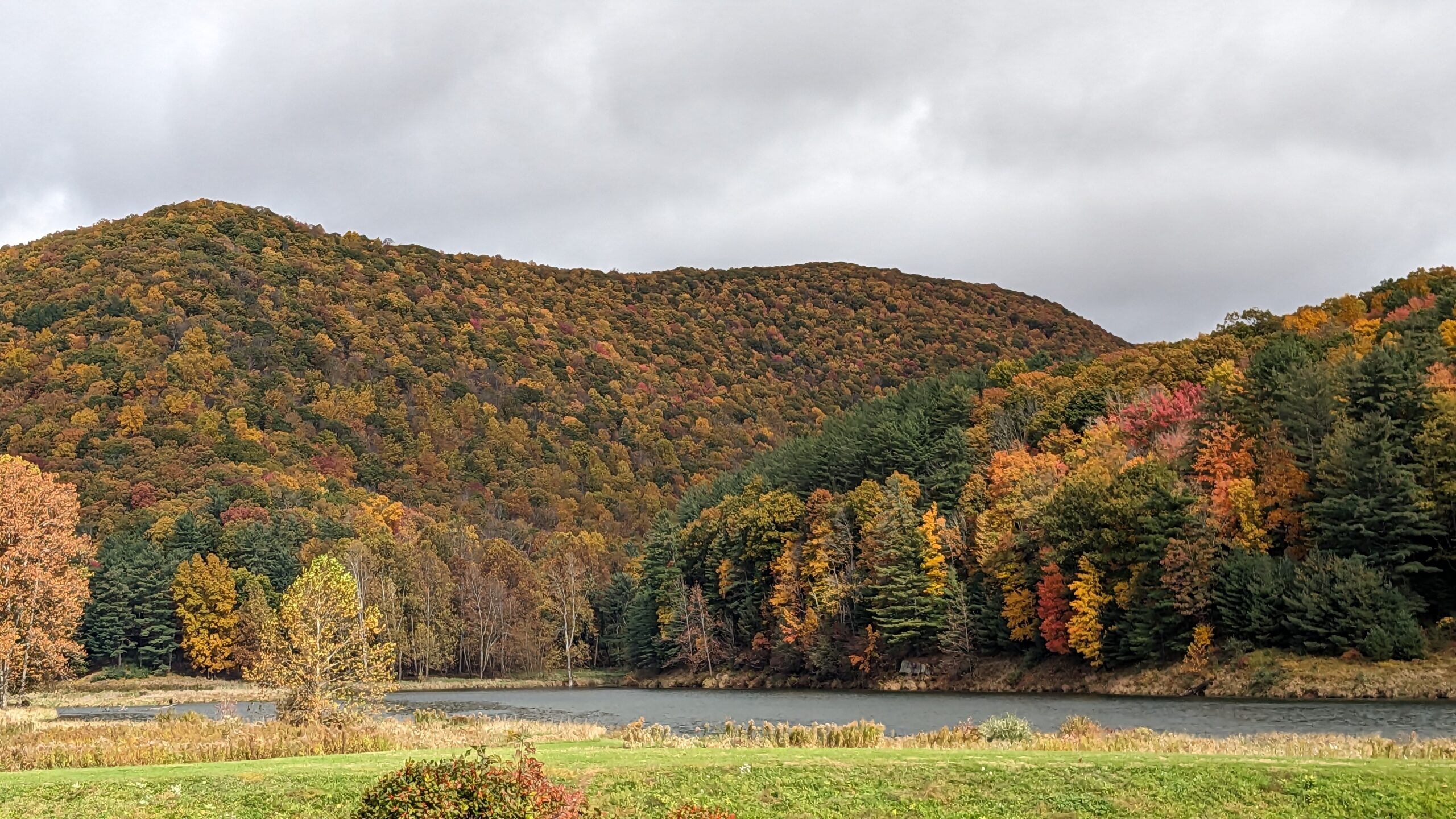 Fall Foliage Pontoon Float