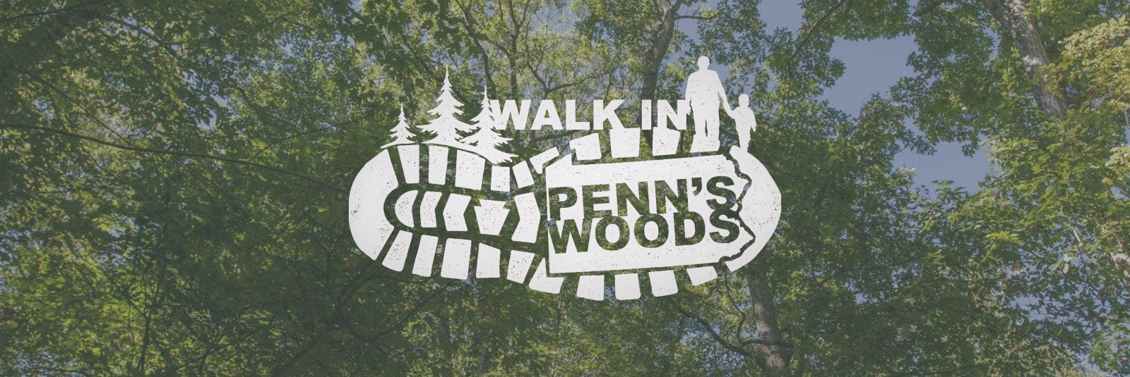 A Walk In Penn’s Woods: Forbes State Forest